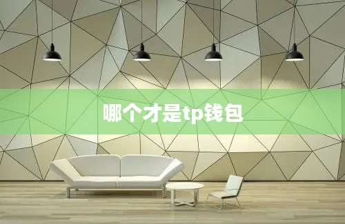 哪个才是tp钱包