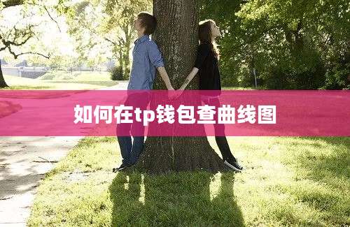 如何在tp钱包查曲线图