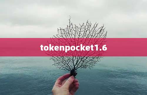 tokenpocket1.6