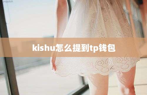 kishu怎么提到tp钱包