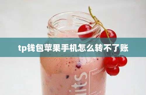 tp钱包苹果手机怎么转不了账