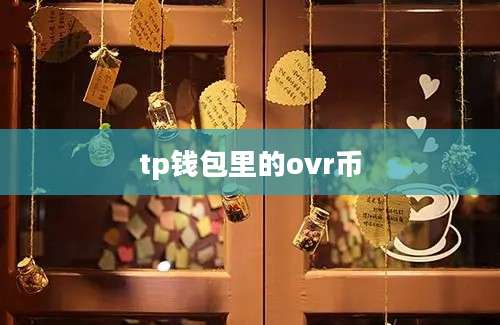 tp钱包里的ovr币
