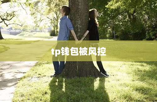 tp钱包被风控