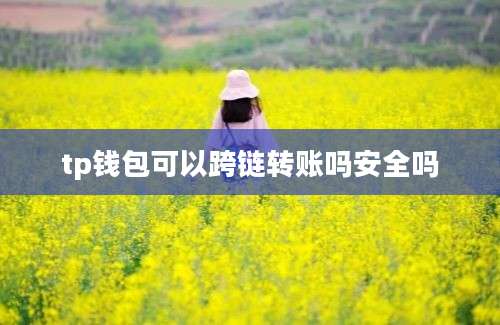 tp钱包可以跨链转账吗安全吗