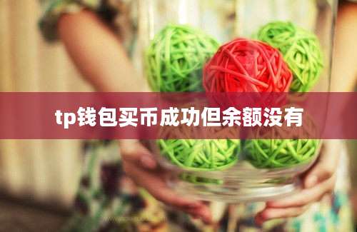 tp钱包买币成功但余额没有