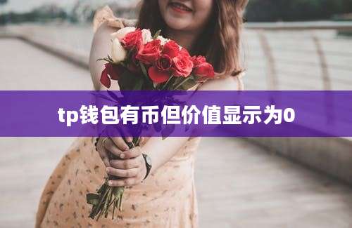 tp钱包有币但价值显示为0