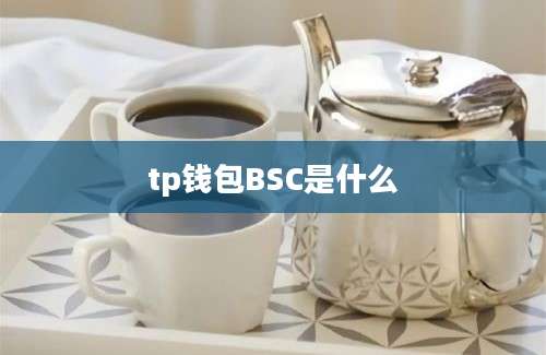tp钱包BSC是什么