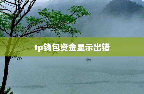 tp钱包资金显示出错