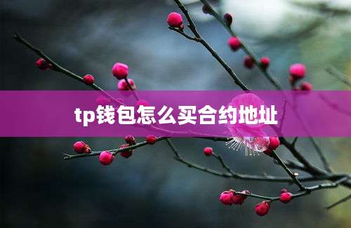 tp钱包怎么买合约地址
