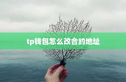 tp钱包怎么改合约地址