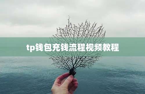 tp钱包充钱流程视频教程
