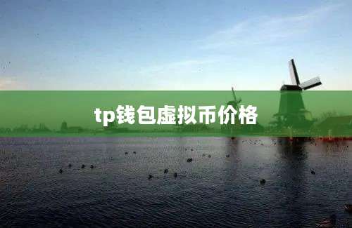 tp钱包虚拟币价格
