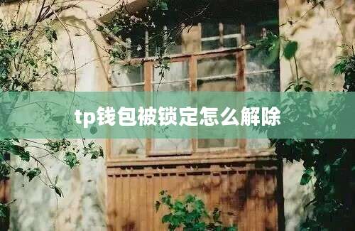 tp钱包被锁定怎么解除