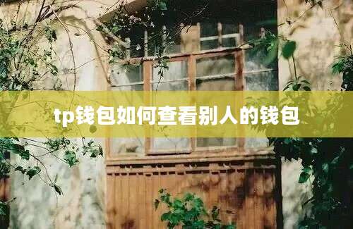 tp钱包如何查看别人的钱包