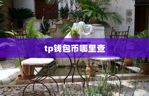 tp钱包币哪里查