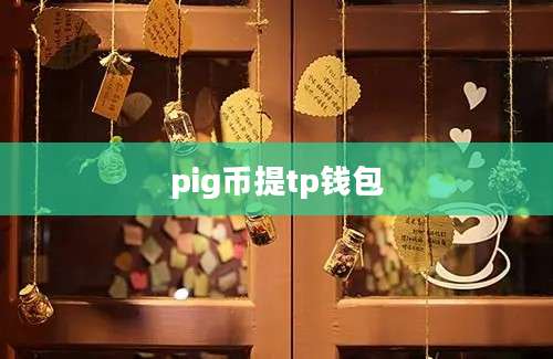 pig币提tp钱包