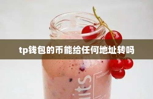tp钱包的币能给任何地址转吗