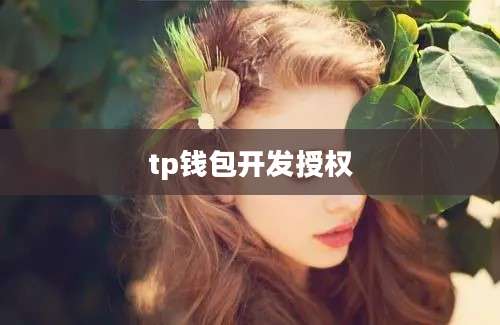 tp钱包开发授权