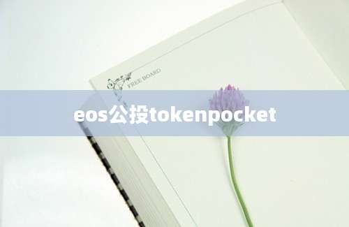 eos公投tokenpocket