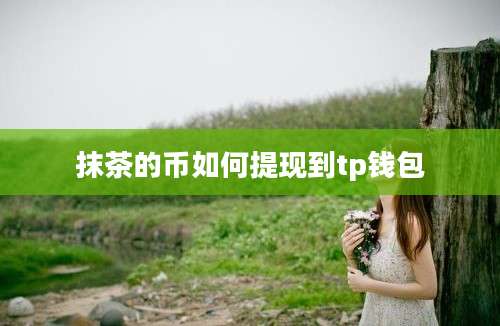 抹茶的币如何提现到tp钱包
