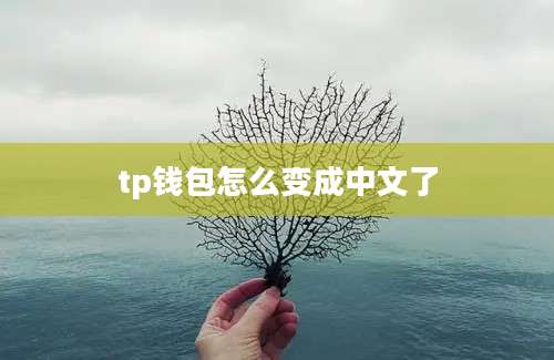 tp钱包怎么变成中文了