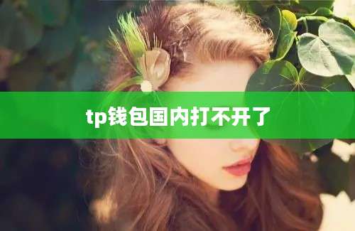 tp钱包国内打不开了