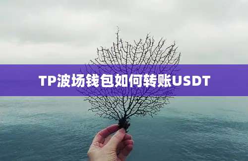 TP波场钱包如何转账USDT