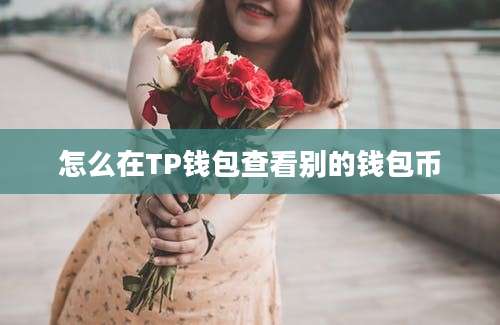 怎么在TP钱包查看别的钱包币