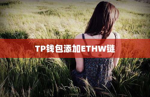 TP钱包添加ETHW链