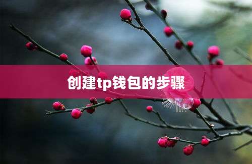 创建tp钱包的步骤