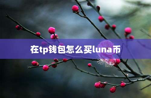 在tp钱包怎么买luna币