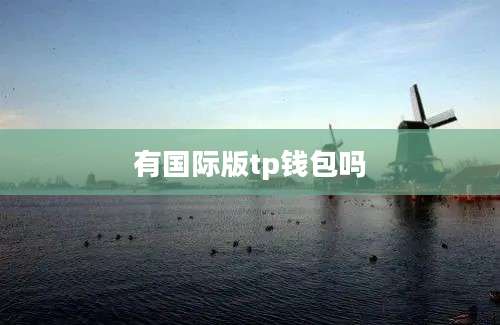 有国际版tp钱包吗