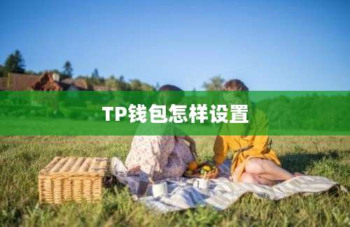 TP钱包怎样设置