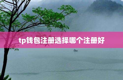 tp钱包注册选择哪个注册好