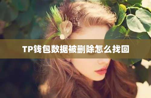 TP钱包数据被删除怎么找回