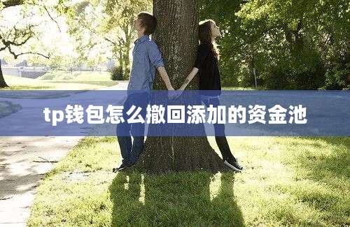 tp钱包怎么撤回添加的资金池