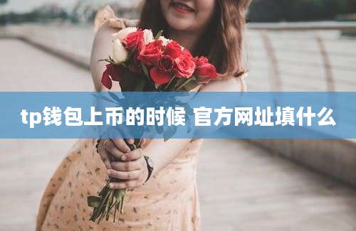 tp钱包上币的时候 官方网址填什么