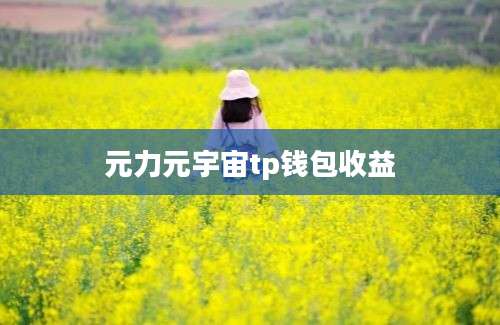 元力元宇宙tp钱包收益