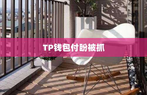 TP钱包付盼被抓