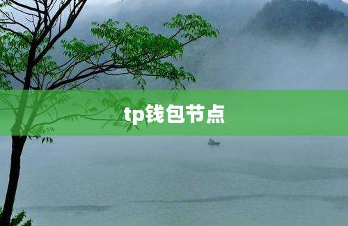 tp钱包节点