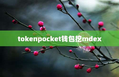 tokenpocket钱包挖mdex