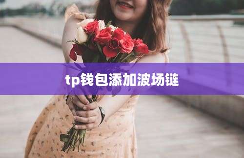 tp钱包添加波场链