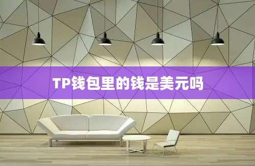 TP钱包里的钱是美元吗