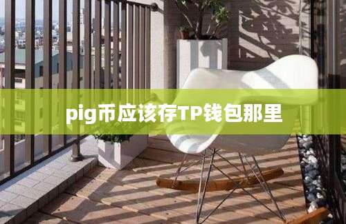 pig币应该存TP钱包那里