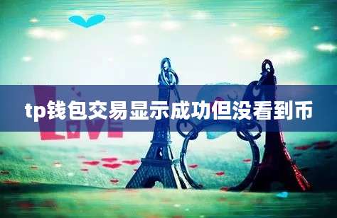 tp钱包交易显示成功但没看到币