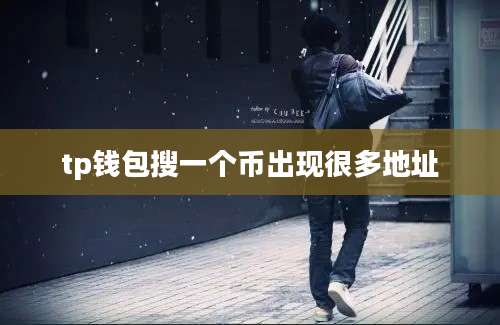 tp钱包搜一个币出现很多地址