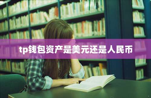 tp钱包资产是美元还是人民币