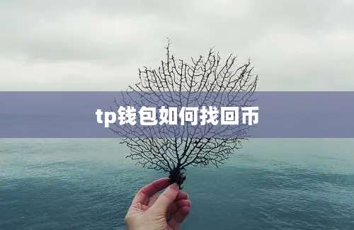 tp钱包如何找回币