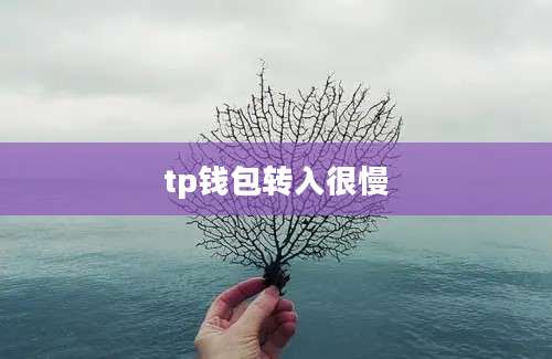 tp钱包转入很慢