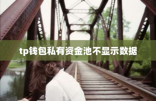 tp钱包私有资金池不显示数据